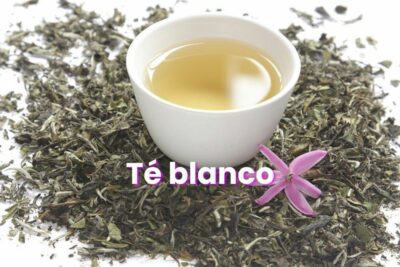 ¿Qué es y para qué sirve el té blanco? Beneficios, propiedades y contraindicaciones del té blanco.