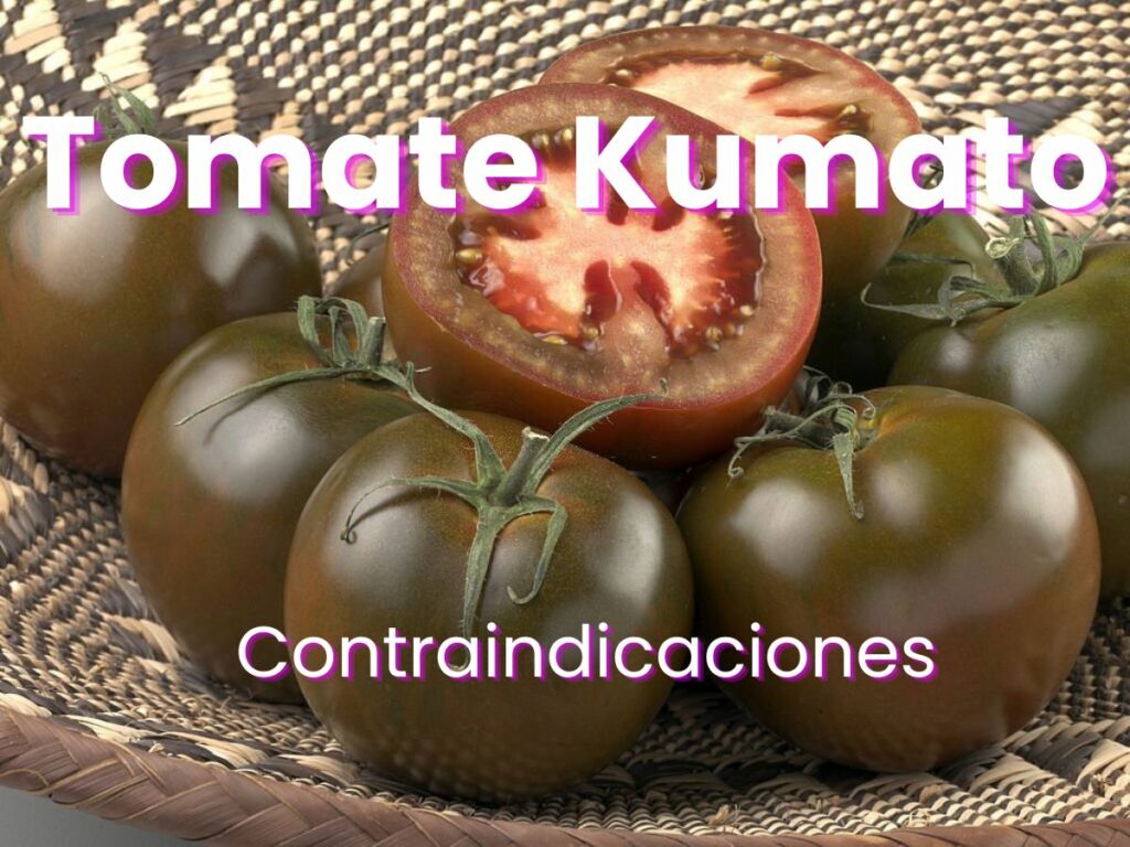Contraindicaciones del tomate kumato