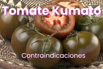 Contraindicaciones del tomate kumato