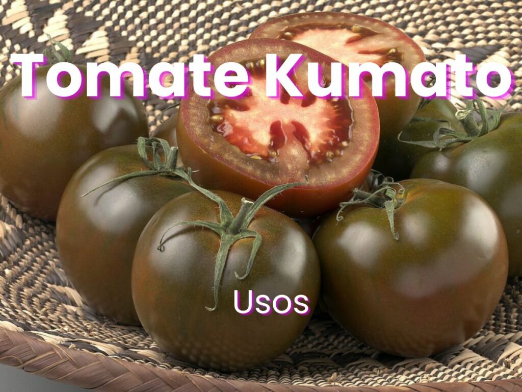 Usos del tomate kumato