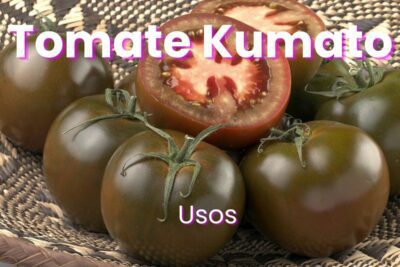 Usos del tomate kumato