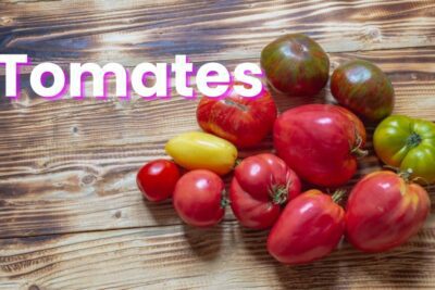 ¿Qué son y para qué sirven los tomates?